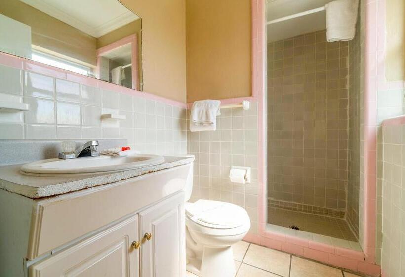 غرفة ديلوكس سرير كينج, Esquire Inn