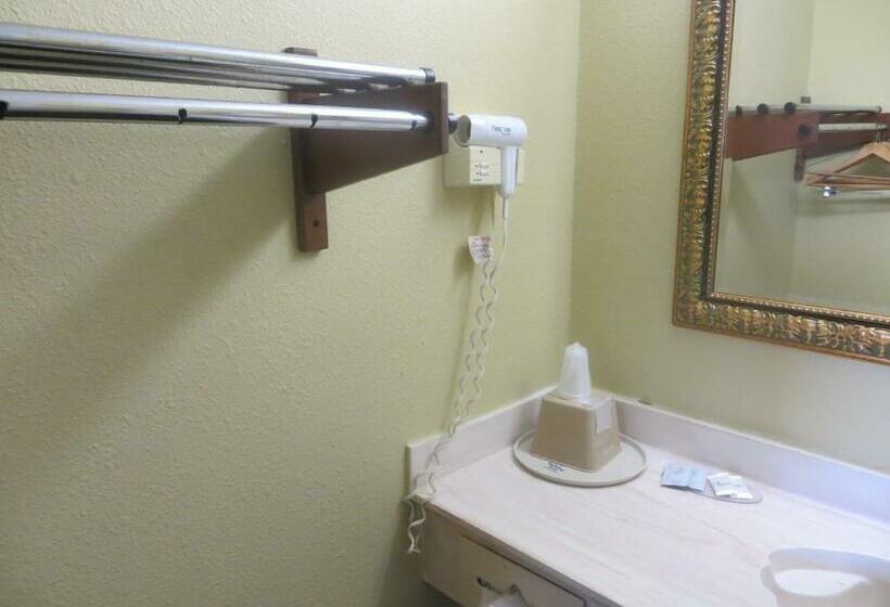 带大床的标准间, La Grange Executive Inn And Suites