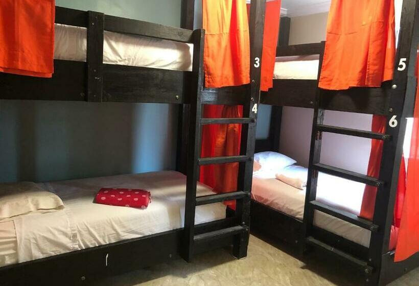 スタンダードルーム, Seashell Motel And International Hostel