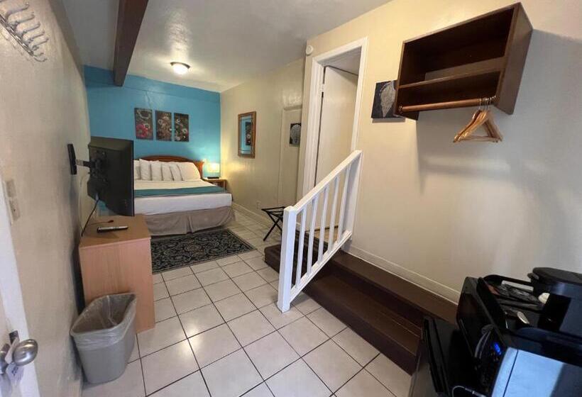 スタンダードルーム, Seashell Motel And International Hostel