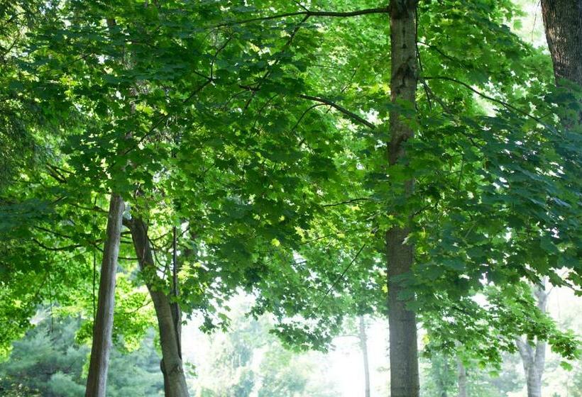 디럭스 룸 킹사이즈 침대, The Inn At Stockbridge