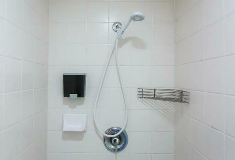 Standard-huone Jaettu Kylpyhuone, American Hotel Hostel
