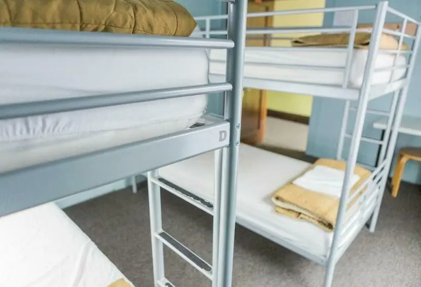 Bed in Shared Room with Shared Bathroom, American Hotel Hostel