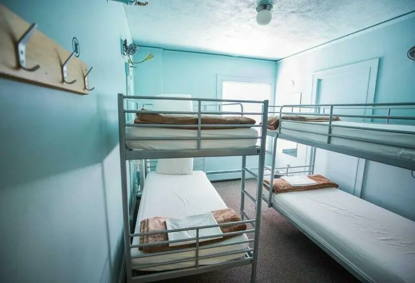 Bed in Shared Room with Shared Bathroom, American Hotel Hostel