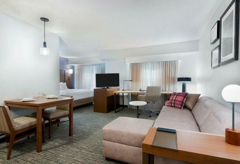 带大床的标准工作室, Residence Inn By Marriott Tampa At Usf/medical Center
