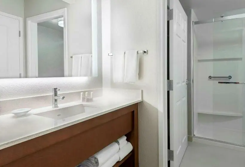 Standard-studio King-vuode, Residence Inn By Marriott Tampa At Usf/medical Center