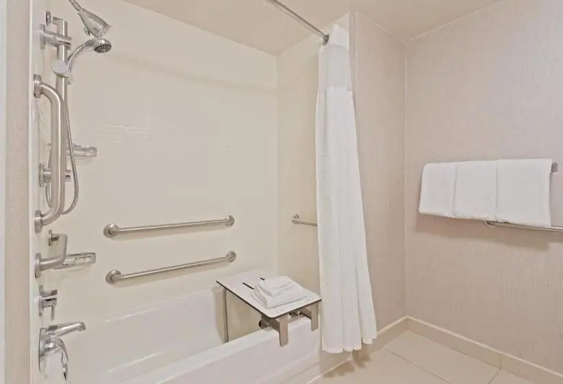 Standard-studio, Residence Inn By Marriott Tampa At Usf/medical Center