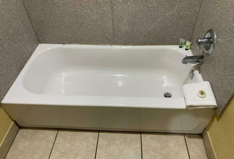 带大床的标准间, Journey Inn Marion