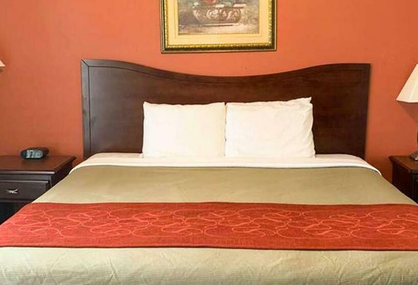 스탠다드 룸 킹사이즈 침대, Manchester Inn