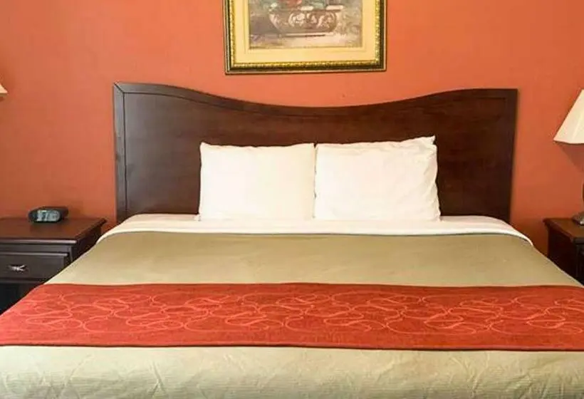 Standard-huone King-vuode, Manchester Inn