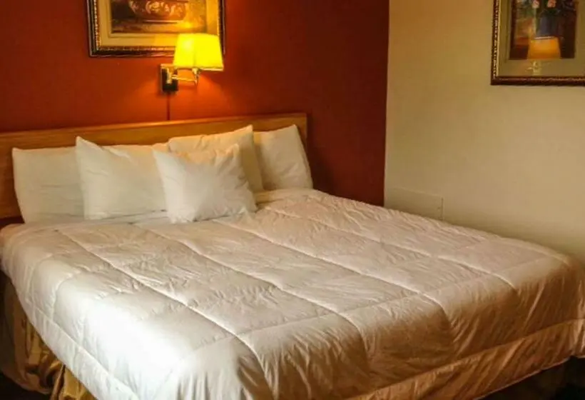 Standard-huone King-vuode, Manchester Inn