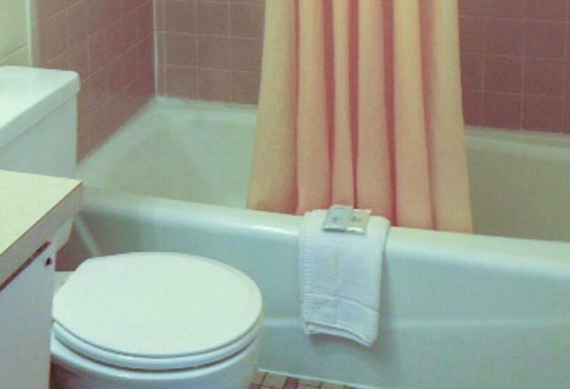 스탠다드 룸 킹사이즈 침대, Manchester Inn