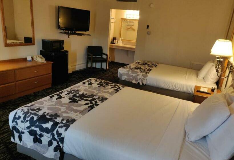 غرفة قياسية, Skyline Motor Inn