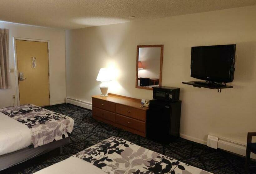 غرفة قياسية, Skyline Motor Inn