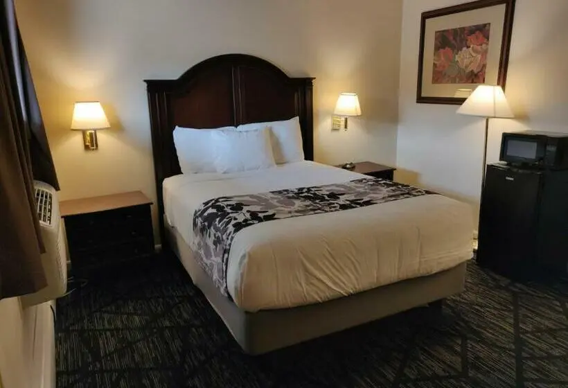 スタンダードルーム, Skyline Motor Inn
