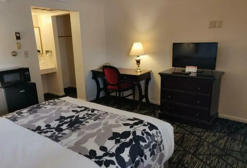 スタンダードルーム, Skyline Motor Inn