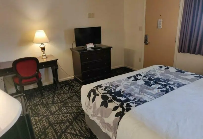 スタンダードルーム, Skyline Motor Inn