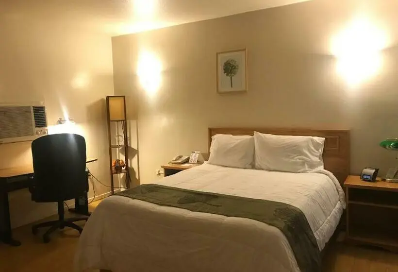 Deluxe-huone, Sunrise Inn