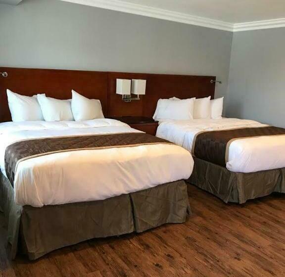 스탠다드 룸, Rex Motel