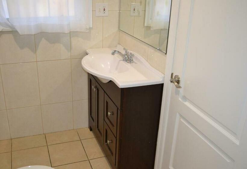 스탠다드 룸 킹사이즈 침대, Rex Motel