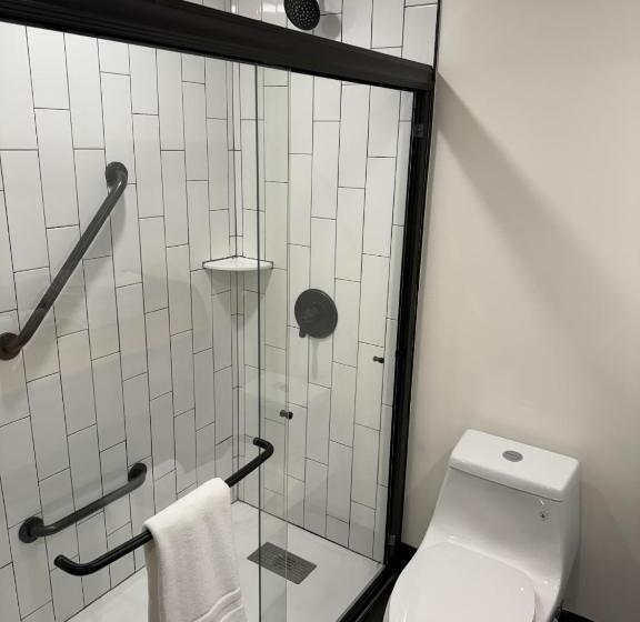 استودیوی استاندارد با چشمانداز دریا, Waterfront On Glacier