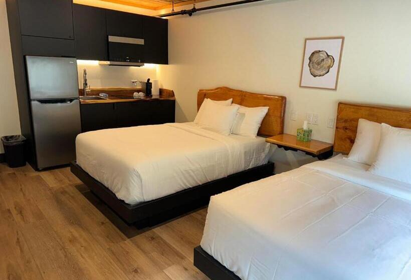 اتاق استاندارد با 2 تخت دوبل, Waterfront On Glacier