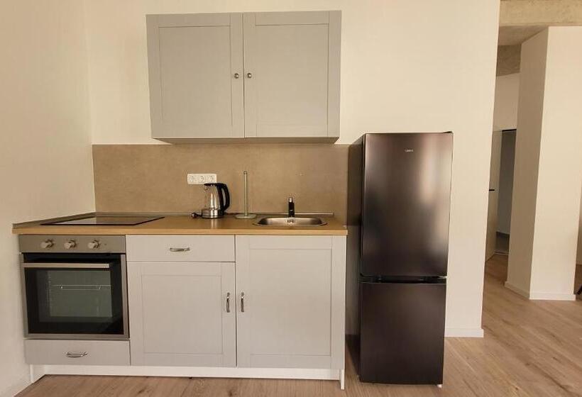 Студио Стандарт Кровать Кинг, Apartments Schwandorf