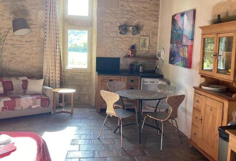 ガーデンビューのスタンダードワンルーム, Mas De La Rivoire B&b