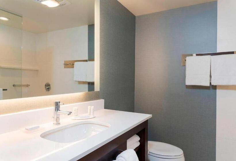 Люкс Кровать Кинг, Residence Inn By Marriott Green Bay Downtown