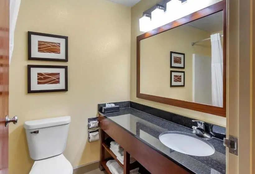Sviitti King-vuode, Comfort Inn & Suites North Aurora Naperville