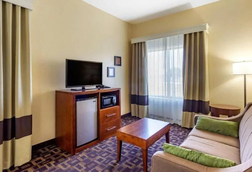 Sviitti King-vuode, Comfort Inn & Suites North Aurora Naperville