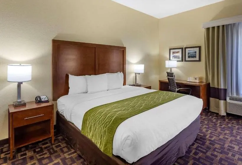 Sviitti King-vuode, Comfort Inn & Suites North Aurora Naperville