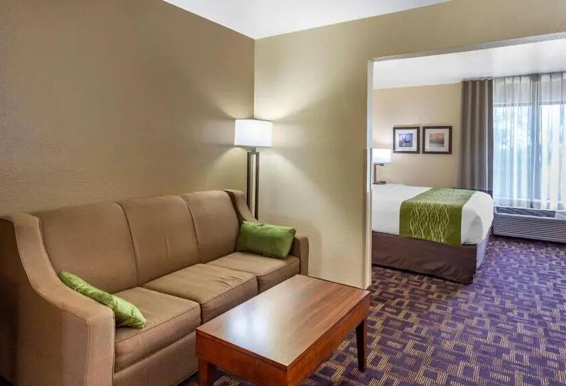 Sviitti King-vuode, Comfort Inn & Suites North Aurora Naperville