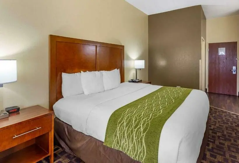 Standard-huone King-vuode, Comfort Inn & Suites North Aurora Naperville