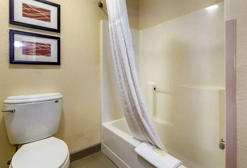 Standard-huone King-vuode, Comfort Inn & Suites North Aurora Naperville