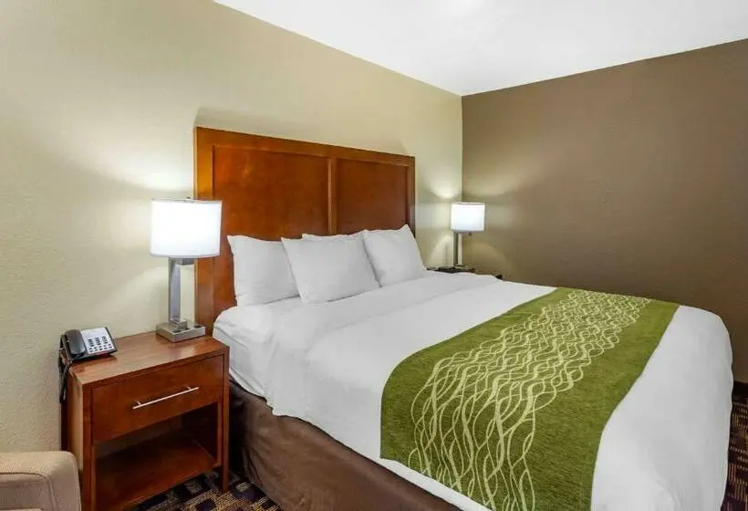 Standard-huone King-vuode, Comfort Inn & Suites North Aurora Naperville