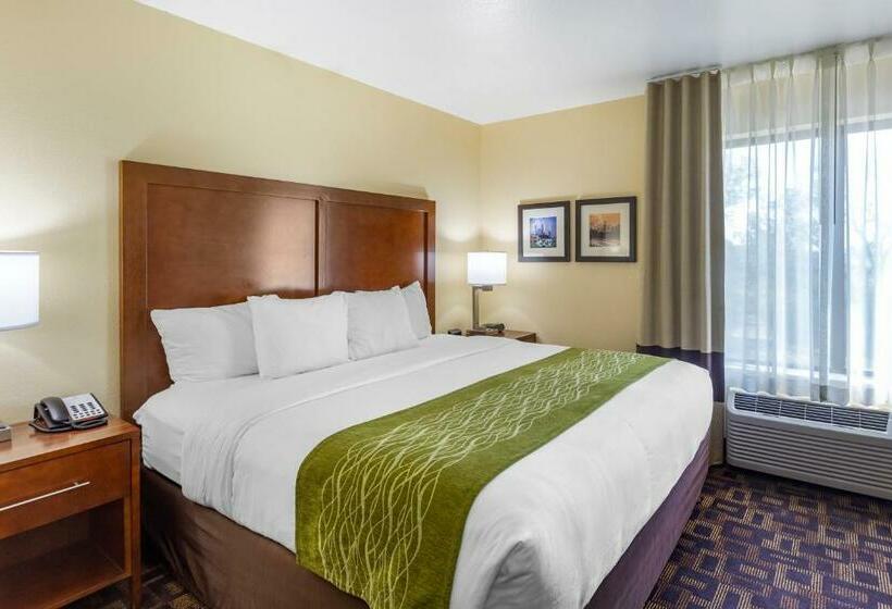 غرفة قياسية سرير كينج, Comfort Inn & Suites North Aurora   Naperville