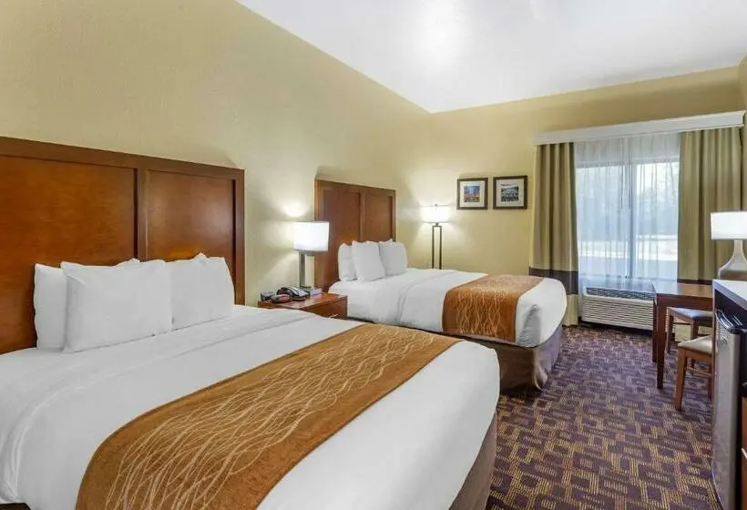 Standard-huone, Comfort Inn & Suites North Aurora Naperville