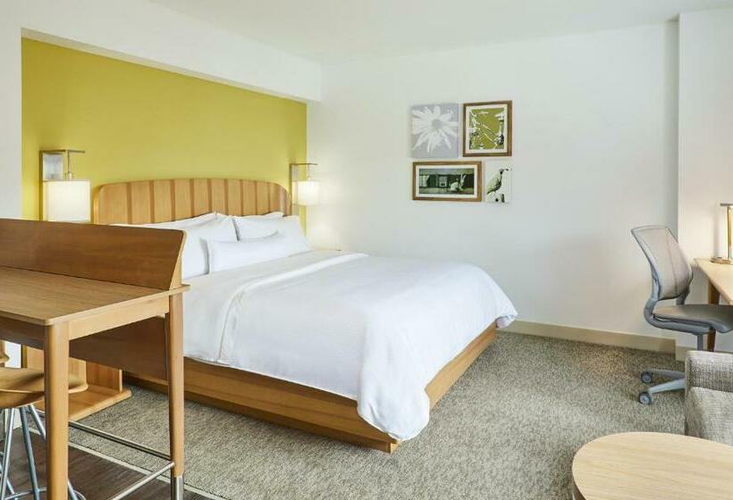 استودیو استاندارد با تخت کینگ, Element Austin Downtown