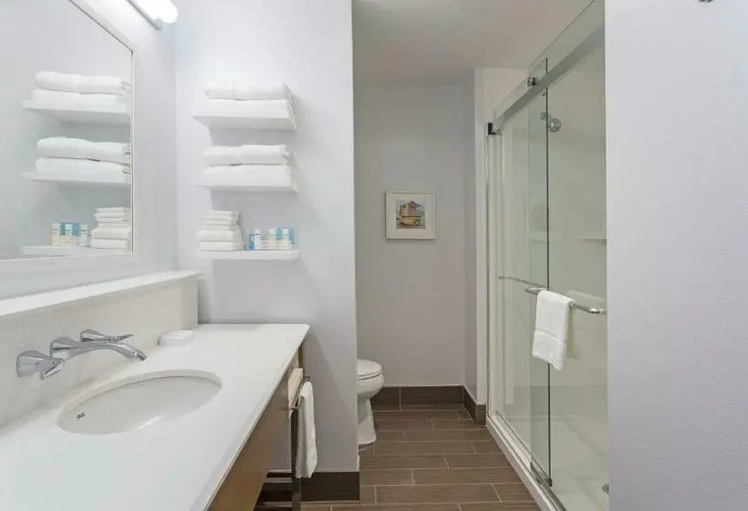 キングサイズベッドのスタンダードルーム, Hampton Inn Fort Lauderdale Pompano Beach