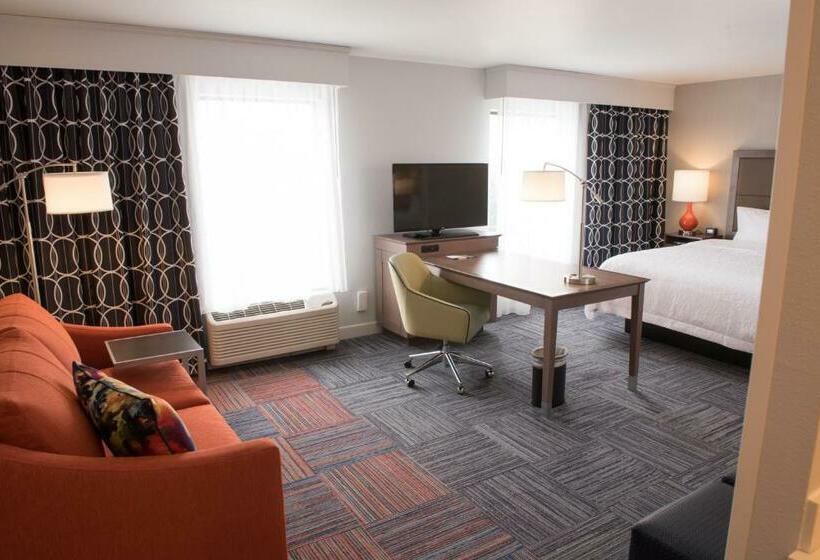 جناح إدارى سرير كينج, Hampton Inn & Suites Bay City