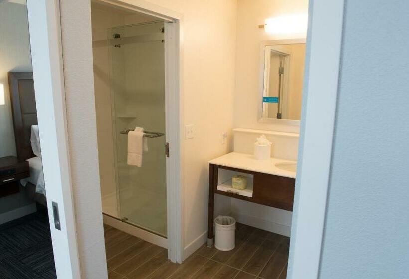 جناح إدارى سرير كينج, Hampton Inn & Suites Bay City