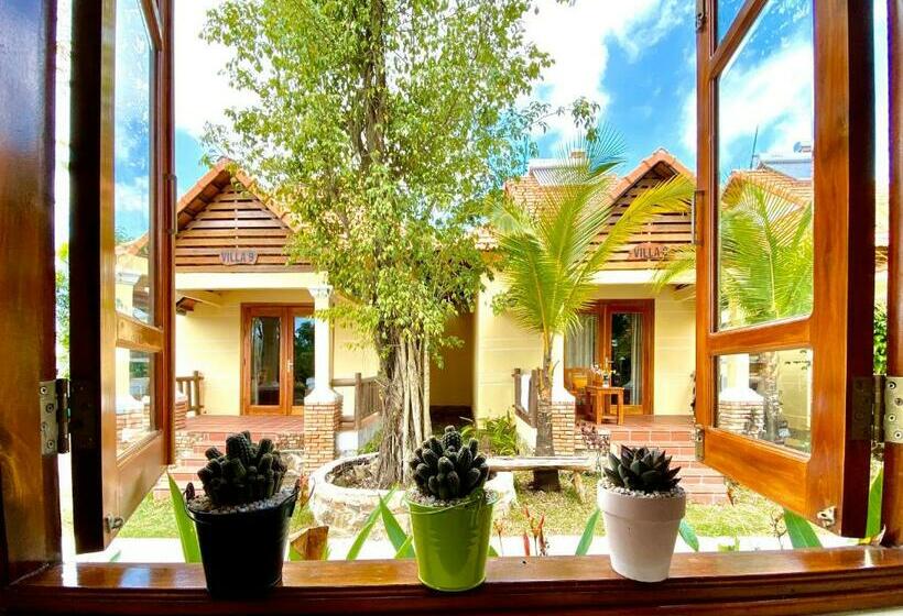 اتاق لوکس, Villa Lien Tho