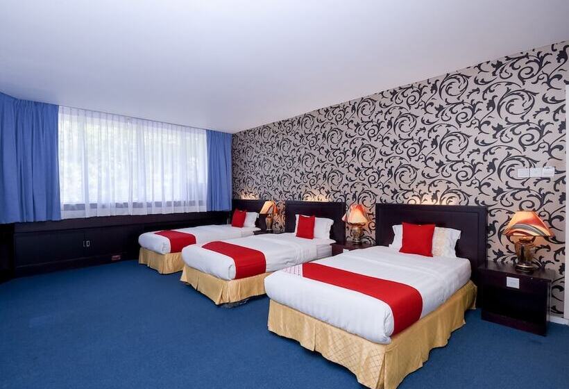 高级套房, City Homestay