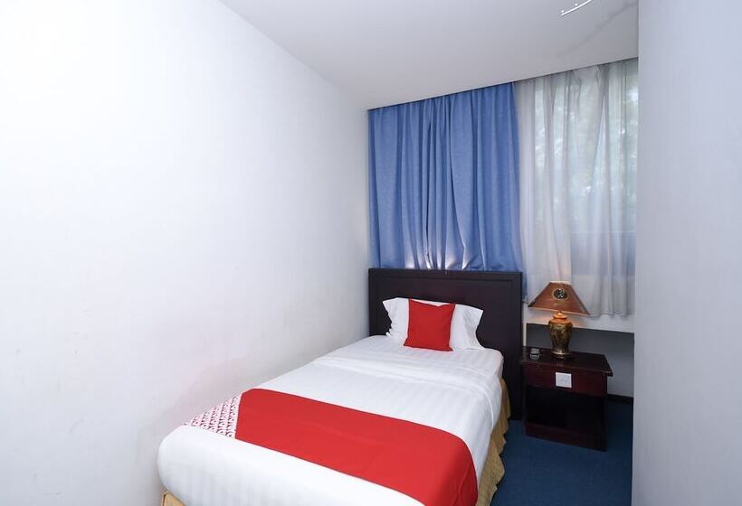 豪华单人间, City Homestay