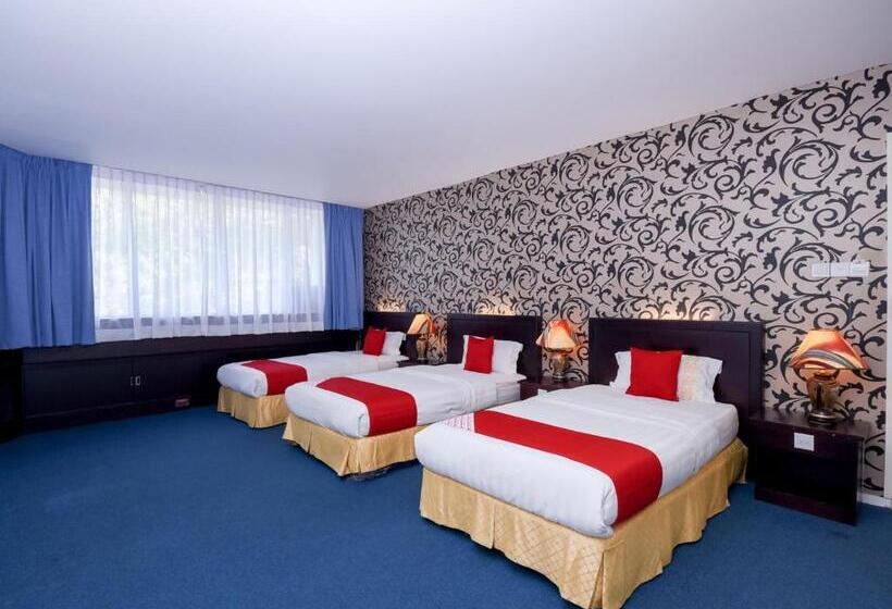 スーペリアースイート, City Homestay