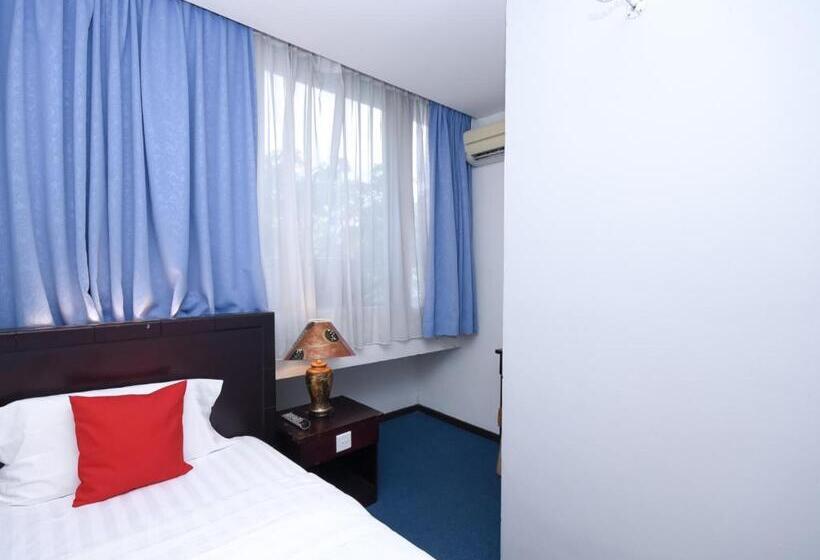 豪华单人间, City Homestay