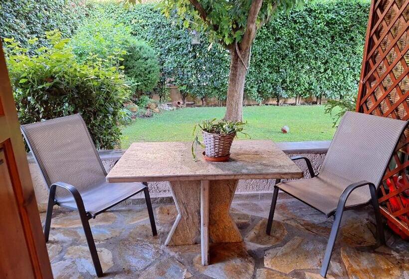 テラス付スタンダードルーム, Skourgias Rooms