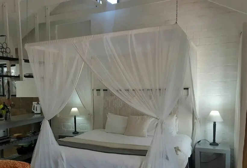استودیوی استاندارد, Hornbill House