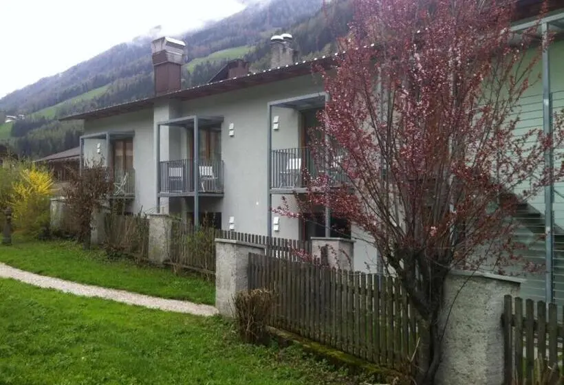 Perhejuniorsviitti, Steinhauswirt